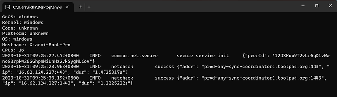 Anytype - netcheck