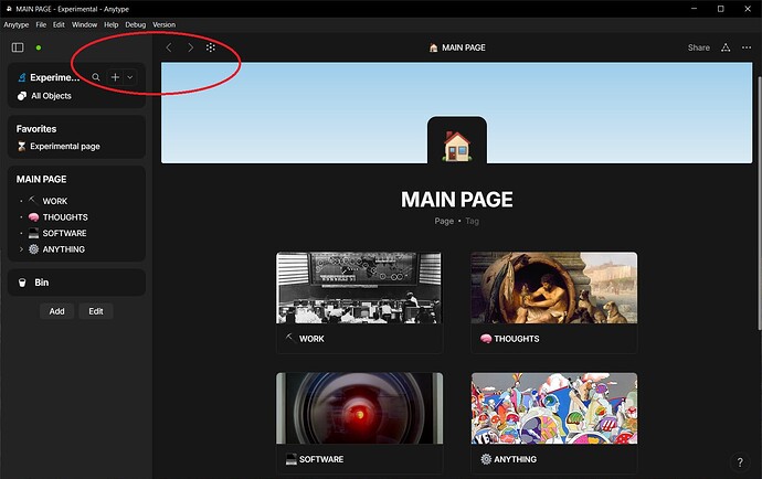 Anytype interface from v0.45.0+