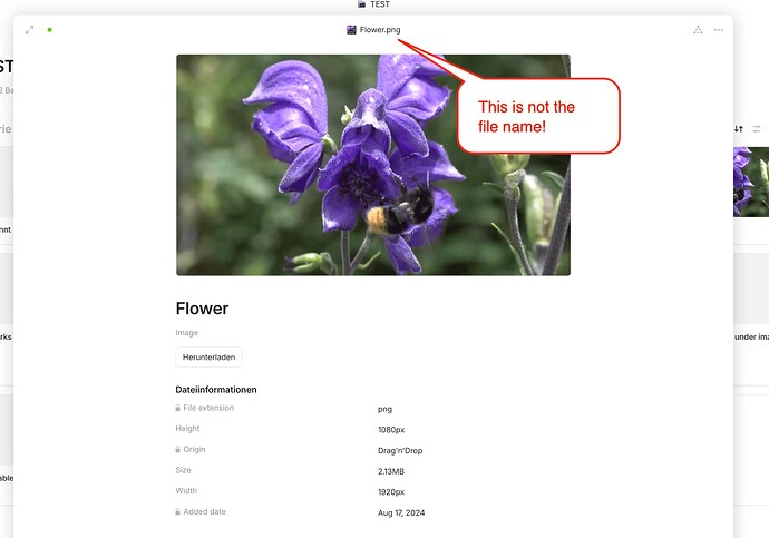 file title - file name