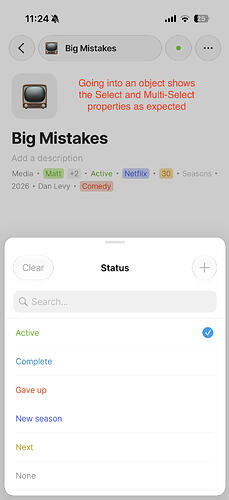 Object view.PNG