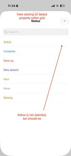 Multi-select view from grid.PNG